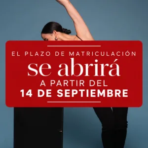 Barré – Clases mensuales (1 clase por semana – presencial u online)