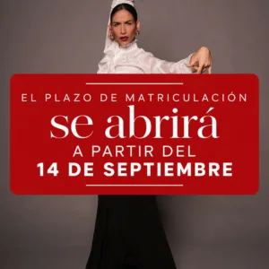 Flamenco – Pack mensual 1 clase por semana (presencial u online)